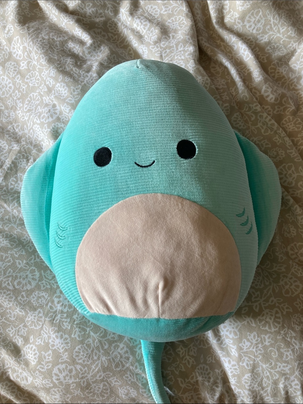 Squishmallows Aqua Shark Plush with Cream Belly